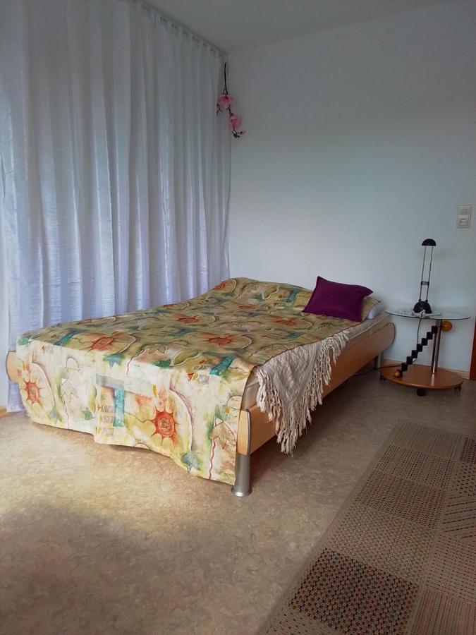 Flat Apartment Офенбург Екстериор снимка